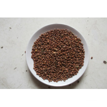 Raddish Seed Extract